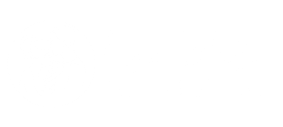 Lisa Müller Familienbegleitung